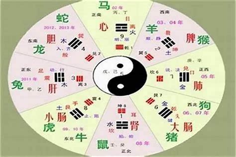 漢字 五行|汉字五行属性查询